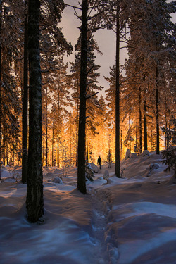 imalikshake:  Between two worlds by Mikko