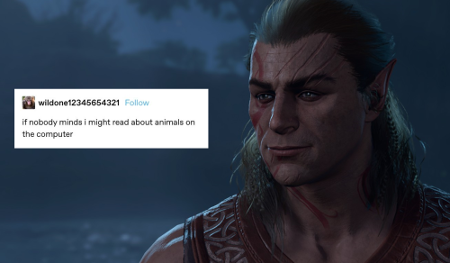 My Turn To Make Silly Little Memes 