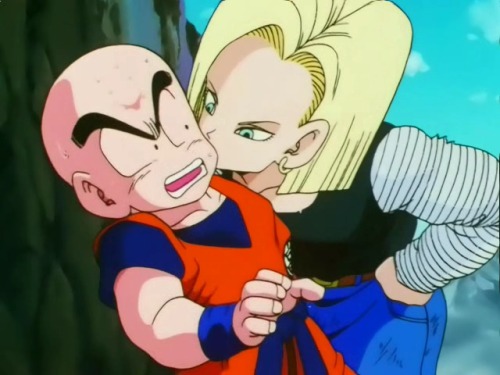 chestnutisland:  katilatah:  Vince and I as Krillin and Android 18 at Dragon Con.  *SCREAMS!* How awesome! 