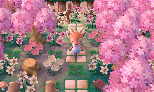 acnl-mayor-ana:Beau♥(7400-4390-5577)