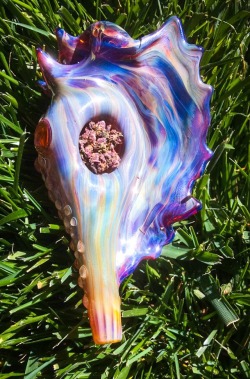 klostgen:  Purple! This is how mermaids smoke! 😚💨🐬🐚