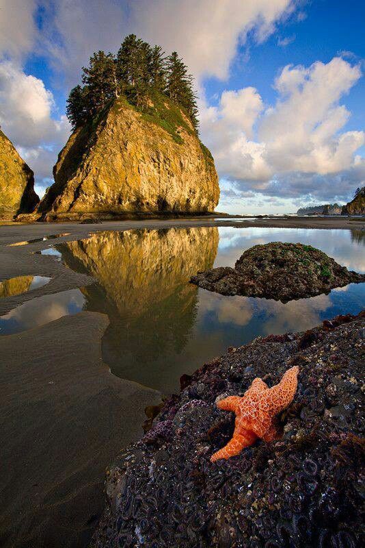 crescentmoon06:   Second Beach, La Push, WA  