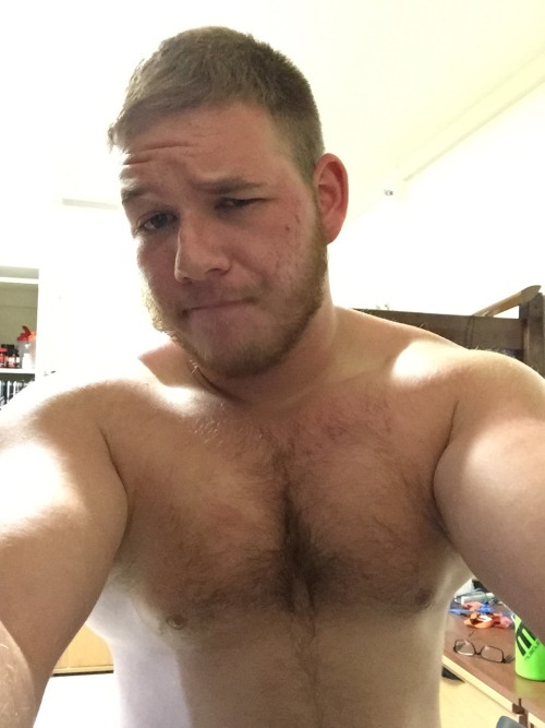 DylanProgress