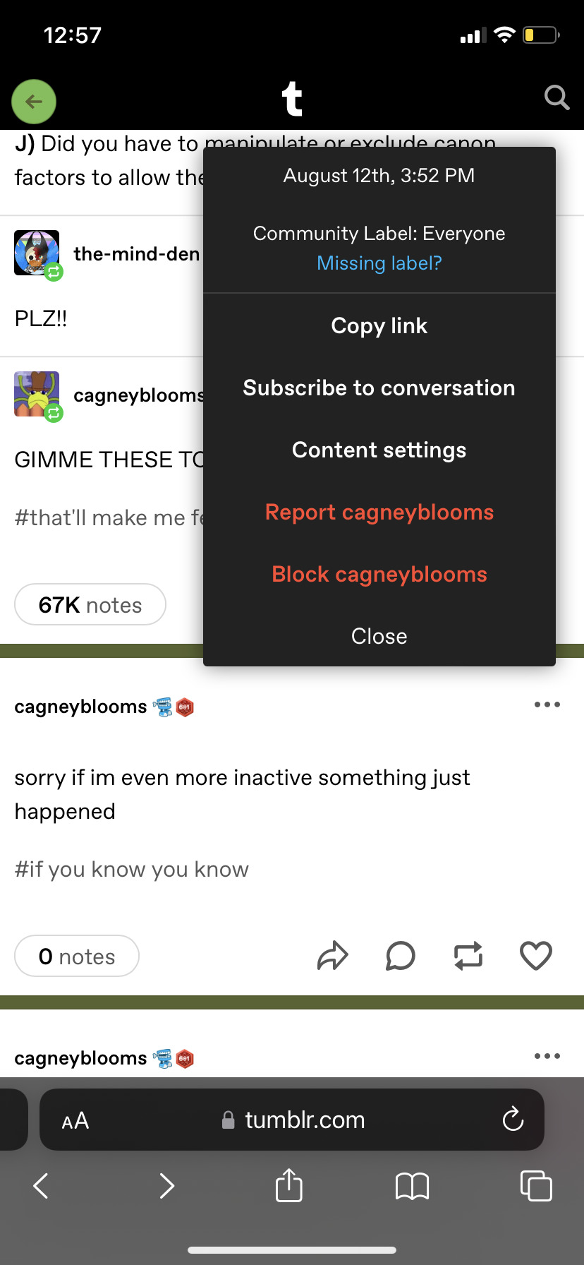 Tumblr media