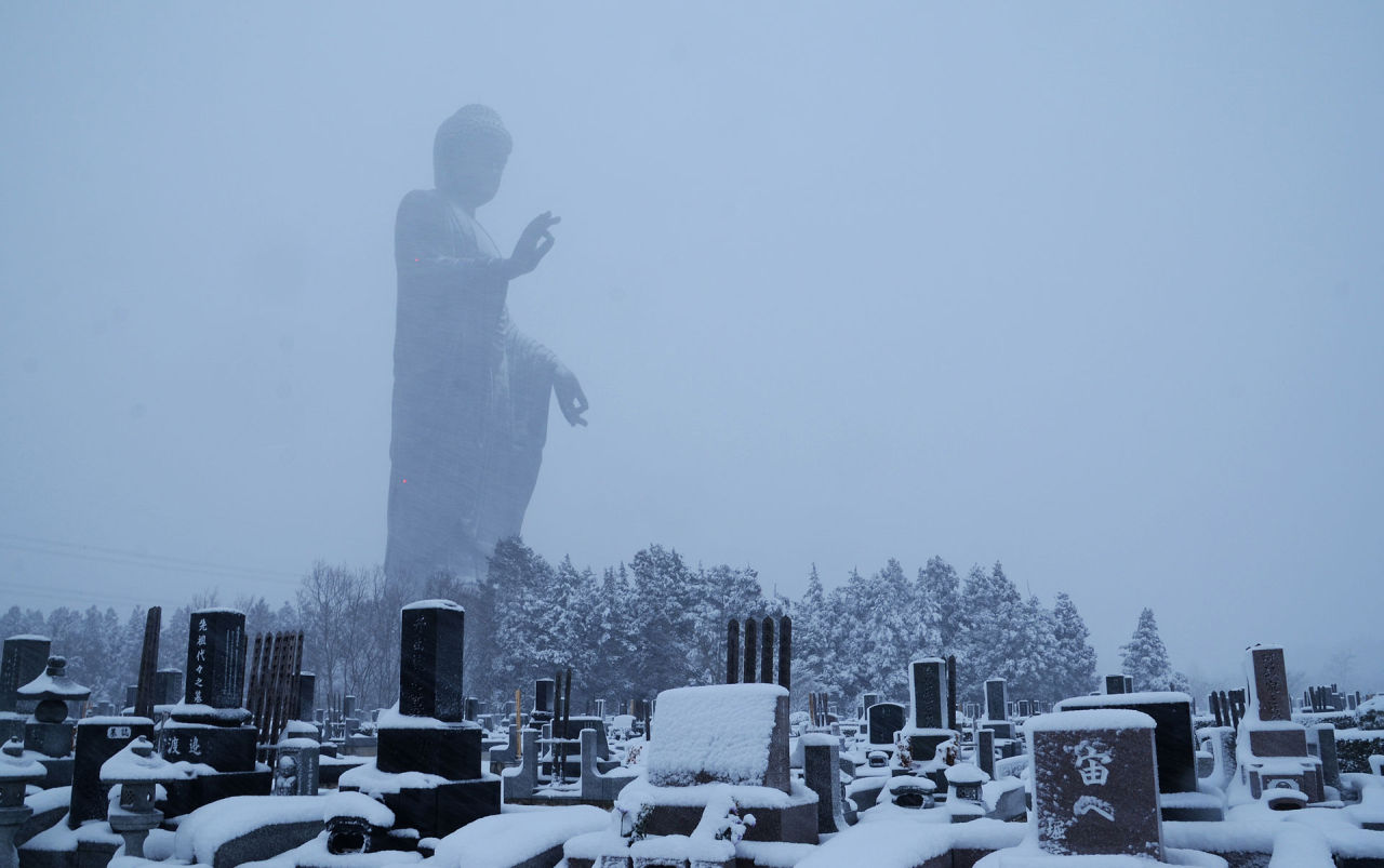 morrisalfred-lv:  kissmyaciid:  牛久大仏 // FEB 8 2014  i wish i could wake