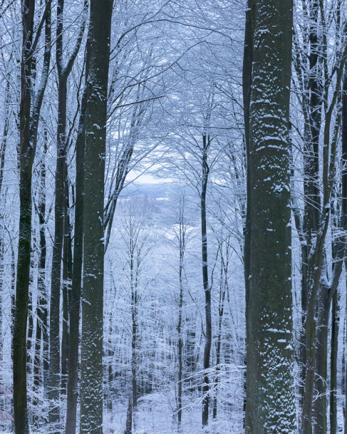 Vinter Söderåsen II by Gustaf Emanuelsson Folio | getty images | facebook | instagram | 5