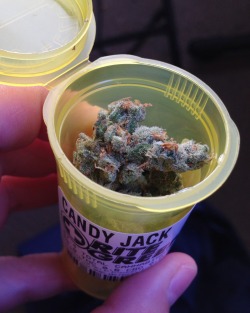 livin-by-the-ws:  Candy Jack 