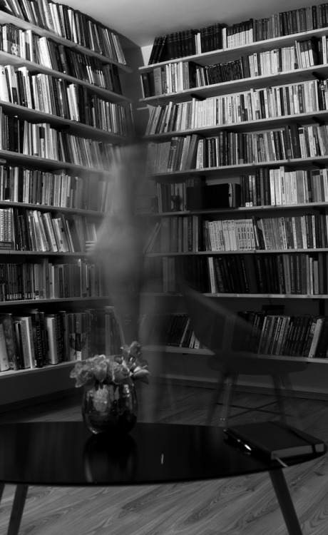 beingmemm:reading for the pure pleasure of it, for the beautiful stillness that surrounds you