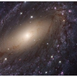 NGC 6744 Close Up   Image Credit: NASA, ESA, and the LEGUS team  Explanation: Beautiful spiral galaxy NGC 6744 is nearly 175,000 light-years across, larger than our own Milky Way. It lies some 30 million light-years distant in the southern constellation