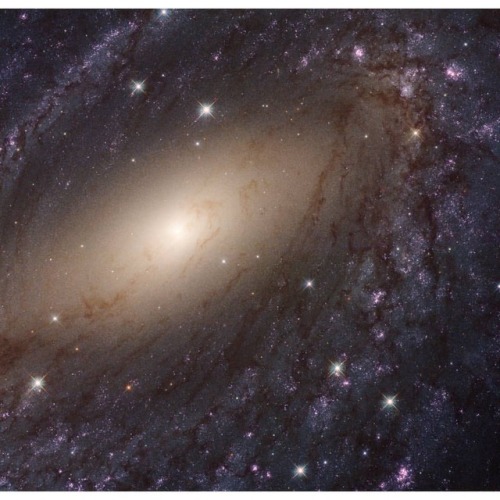 NGC 6744 Close Up   Image Credit: NASA, ESA, adult photos