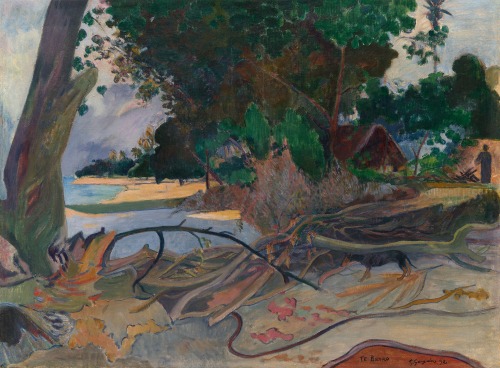 Te burao (The Hibiscus Tree), Paul Gauguin, 1892