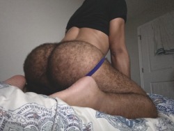 Porn photo furrydudeposts:poilupeludo:So furry on the