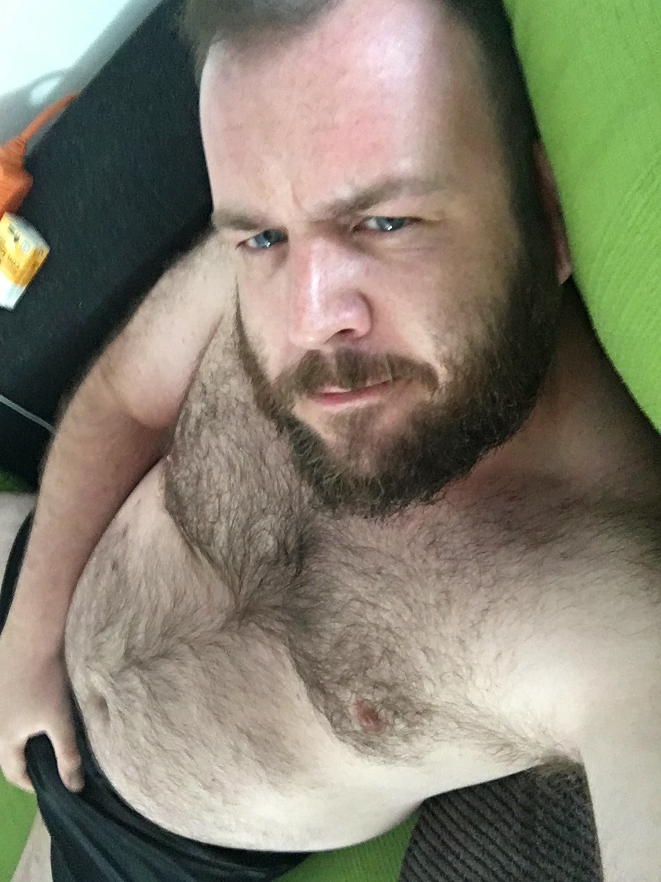 Bears4me37601