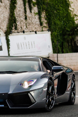 fullthrottleauto:  Grigio estoque Aventador in Monaco (by ZellusCars) (FT)