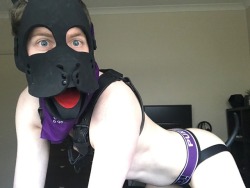 illburymybone:  Purple Puppy!