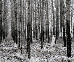 untrustyou:  Tamas Dezso 