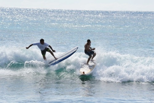 Surf Life