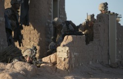 militaryarmament:  U.S. Marine Corps infantrymen with 1st Battalion, 5th Marine Regiment, 1st Marine Division participate in a heavy huey raid exercise during Weapons and Tactics Instructor (WTI) Course 2-15 at Yuma Proving Grounds near Yuma, Ariz., April