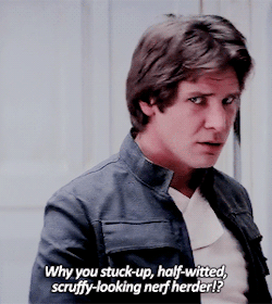titansdaughter:  everyone’s so pleased to have Han Solo around 