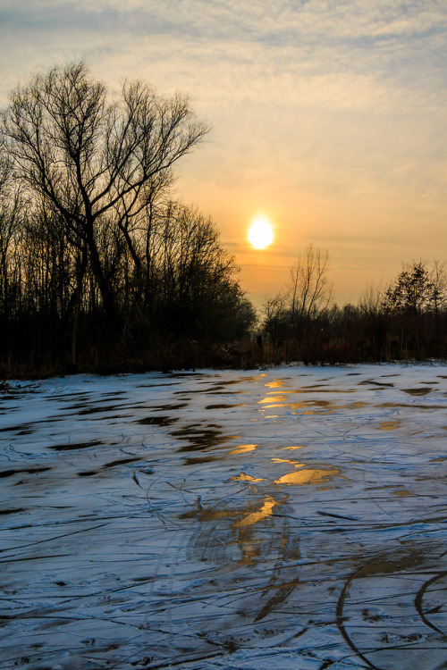 nature-hiking: Golden Hour on the ice 1/? - De Kloosterwiel, Netherlands, March 2018 photo by&n