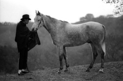 alchrista:  &ldquo;It was early winter, along the ridge of the Santa Ynez hills. It was the first time we could touch the horses that were rescued from an abusive ranch. It was our foundraising efforts, and Michael’s anonymous generosity, that made