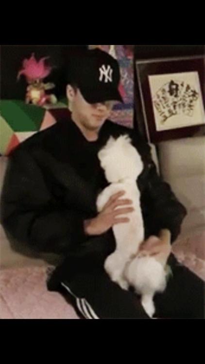 dog lover Ravi (and Ravi lover dogs)