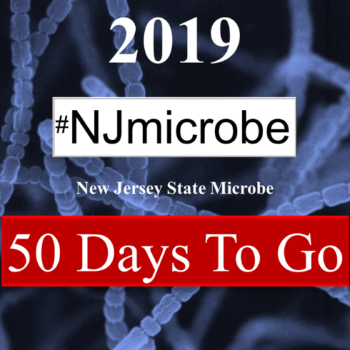 Fifty days before the NJ State Microbe becomes law by default.