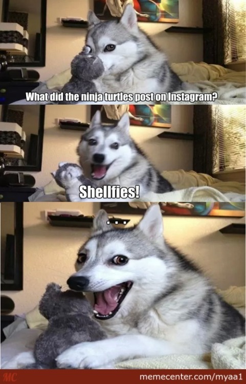 givemeinternet:  Wolf jokes
