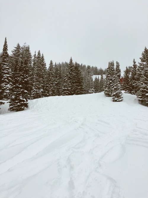When it&rsquo;s this cold, the powder makes such a satisfying swishing sound. Park City, Utah