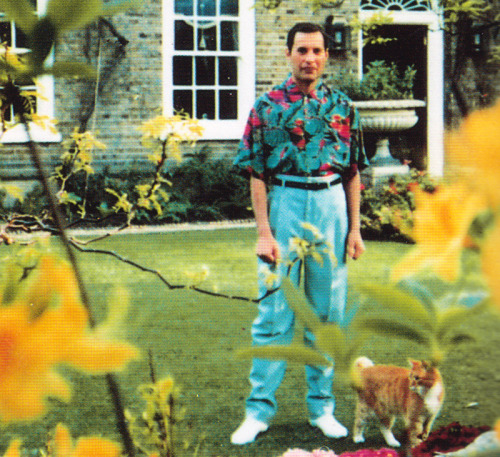 fuckyeahmercury:Last time Freddie Mercury posed for a photograph – spring of 1991Taken at Freddie’s 