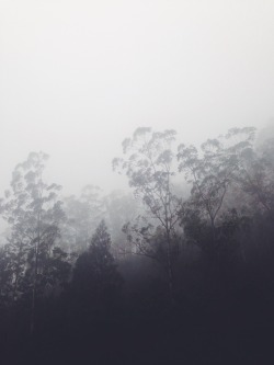 likestolenpoetries: the fog // the rain