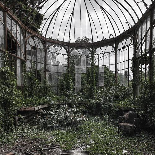a museum of her heart on Tumblr: Overgrown and abandoned gardens are plains  of untold secrets waiting to be discovered