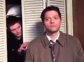 deadpai:  “Every once in a while we’ll be at dinner and Jensen’ll say “Dmitri!” and I’ll go “ugh, what?” and he’ll say “C'mon, bring it out.“ Misha Appreciation Week Day 2 // Favorite Relationship: Misha & Jensen