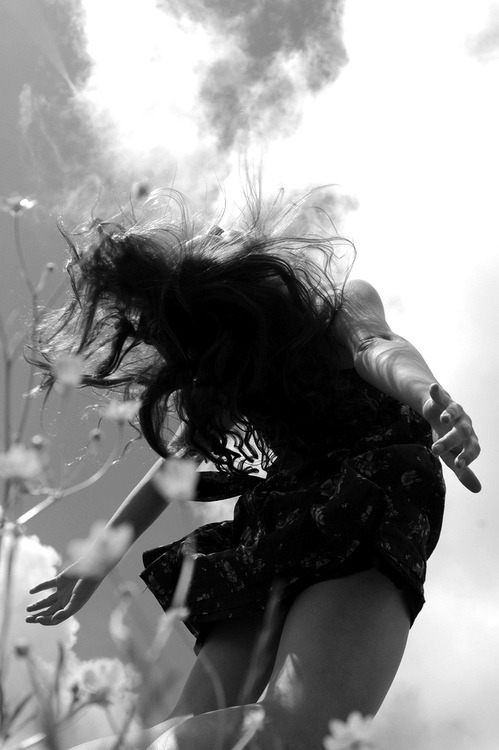 WILD ROMANCe