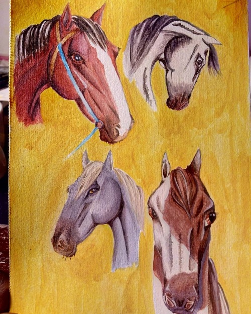 Finally finished this lil study. Used book by Don Bolognese for reference.#horse #horses #equine #ho