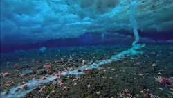 walkfasterr:  coolthingoftheday:  An ice stalactite, otherwise known as a brinicle, forms beneath the sea ice when a flow of extremely cold saline water is introduced to an area of ocean water. Anything trapped in its path becomes instantly frozen -