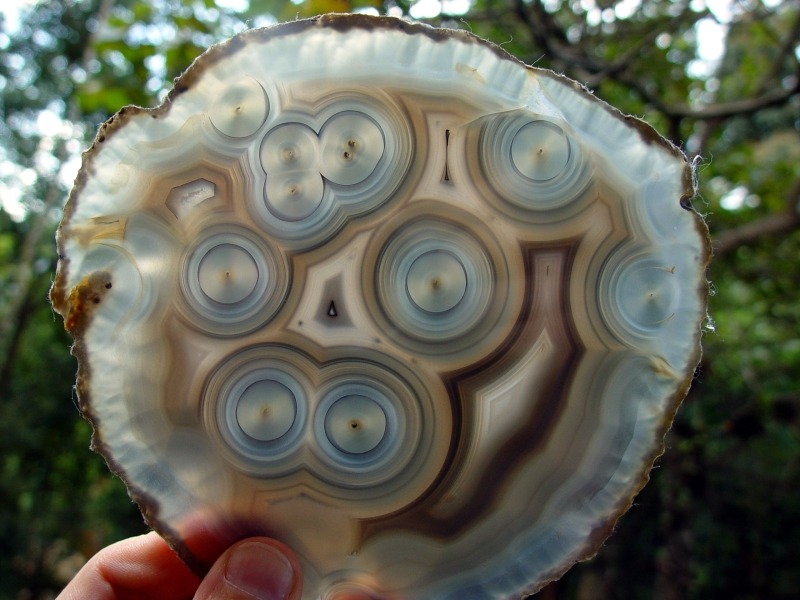 saladofrob:  brazilminerals:  Agate from Ametista do Sul, Rio Grande do Sul, Brazil