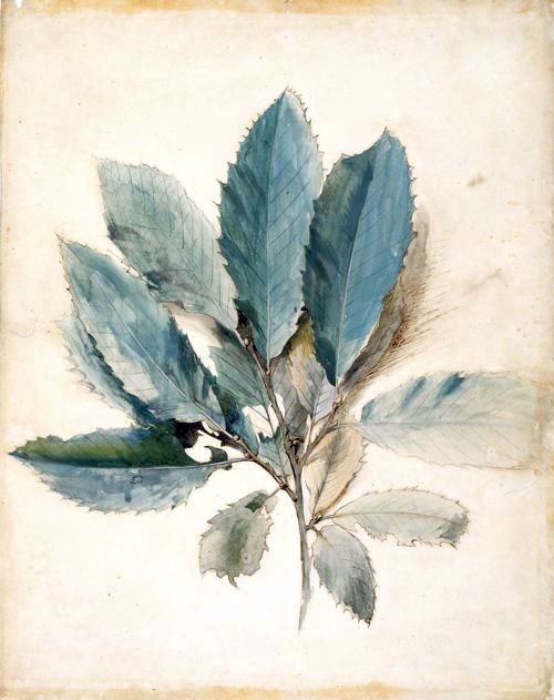 gazophylacium:John Ruskin; today (Feb. 8th) is his birthday. His writings had a tremendous influence