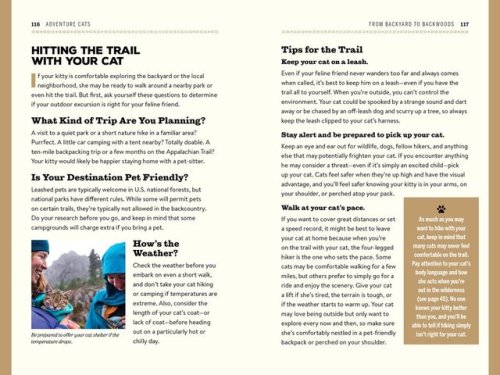 adventurecatsorg:Take a sneak peek at the Adventure Cats book! Pre-order a copy and be the first to 