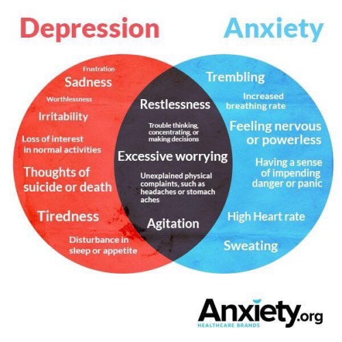 awake-society:Depression / Anxiety [anxiety.org]