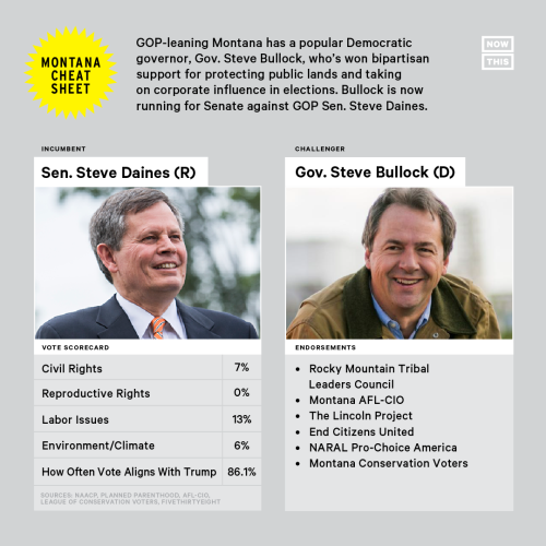 imalovellmachine: nowthisnews: These 2020 races will decide who controls the Senate. Can former Demo