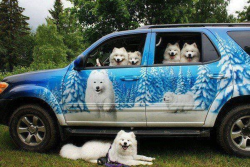 ebeth: animal-factbook:  when your whole crew is looking fresh af  a whole bus full of party boys 
