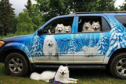 animal-factbook:when your whole crew is looking fresh af