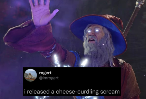Screenshot of Elminster from BG3. Pasted on text post: "I released a cheese-curdling scream."