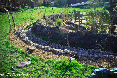 biodiverseed:I’ve been salvaging stones from a local construction site to make the stormwater 