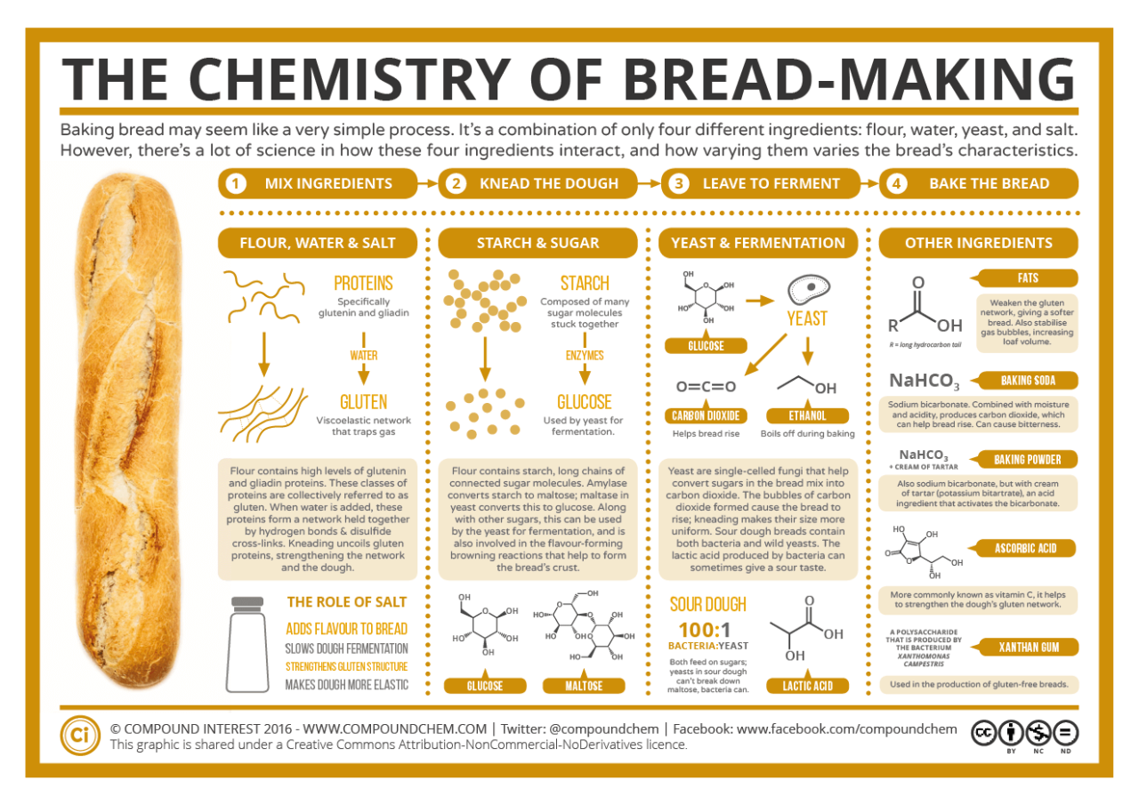 compoundchem:  The Chemistry of Baking Bread… or making it, at least! Check out