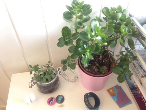 hvllucinvtion:  paleception:  nat-uralist:  new family members Noah and Elvina 😄🌿   online garden here  you’re plantastic