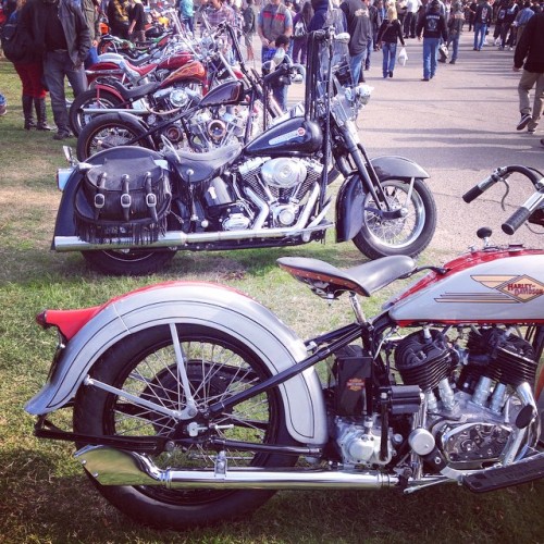 Rows of Harleys at @chopperfest in Ventura today! We&rsquo;re having a great time and are so gla