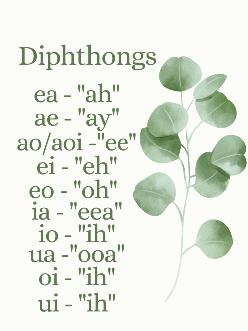 accessibleaesthetics: leannan-fuisce:Some Irish grammar/pronunciation notes by me! Part two will be 