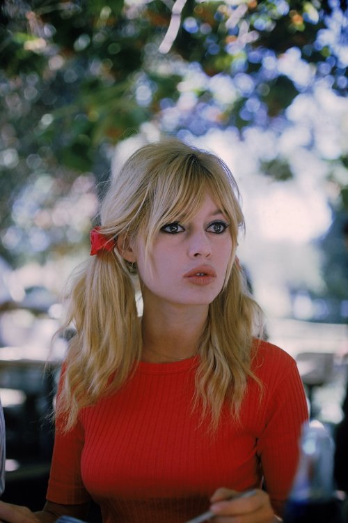 miloradmadzar:  (via Brigitte Bardot photo #384788 | theplace2.ru)  